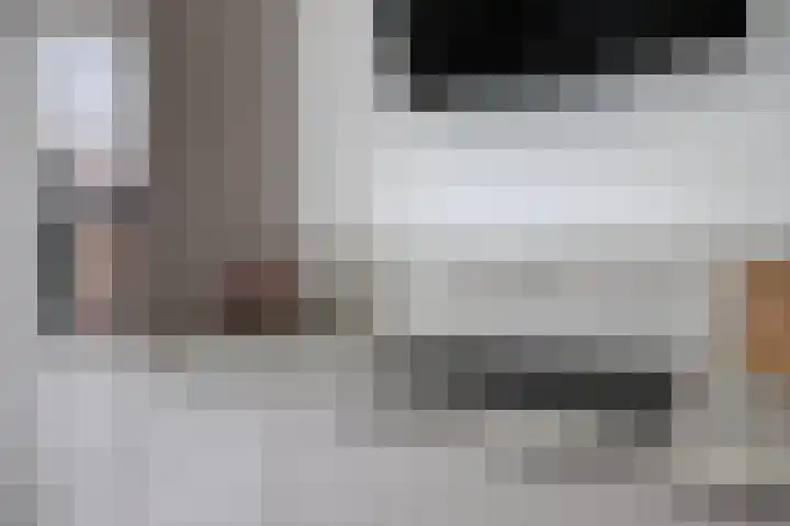 Azaleastraat 43 Terneuzen thumbnail 13