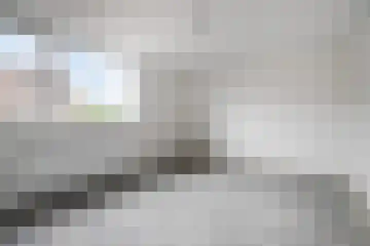 Azaleastraat 43 Terneuzen thumbnail 17