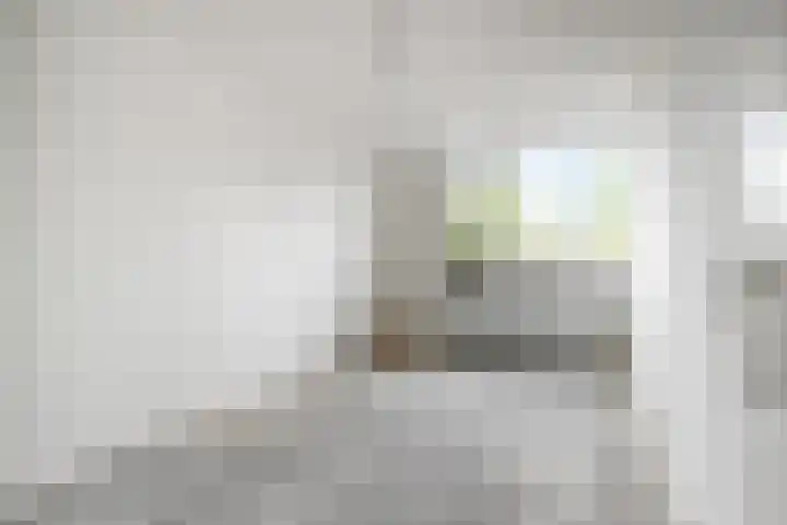 Azaleastraat 43 Terneuzen thumbnail 18