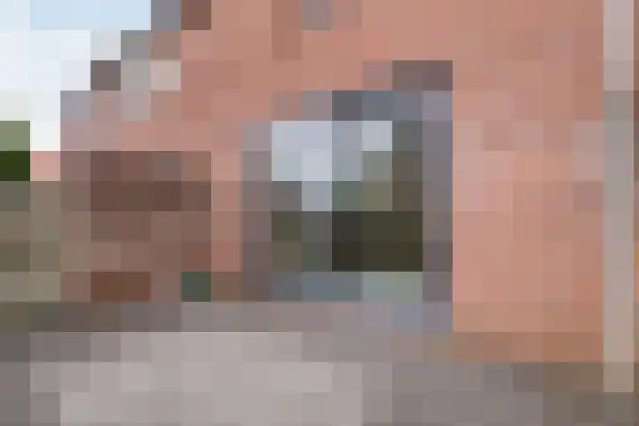 Azaleastraat 43 Terneuzen thumbnail 23