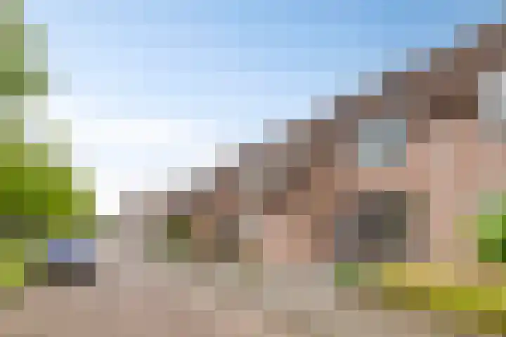 Azaleastraat 43 Terneuzen thumbnail 27
