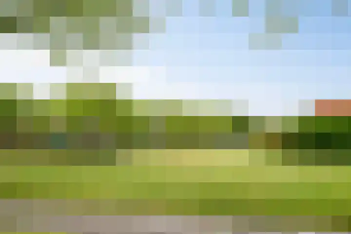 Azaleastraat 43 Terneuzen thumbnail 28