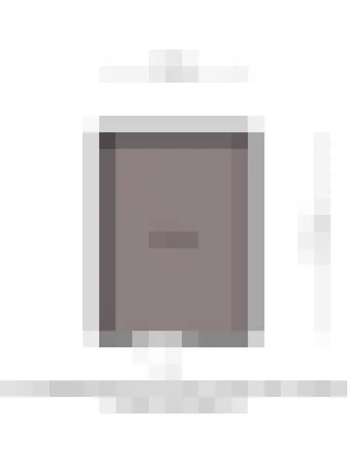 Azaleastraat 43 Terneuzen thumbnail 33