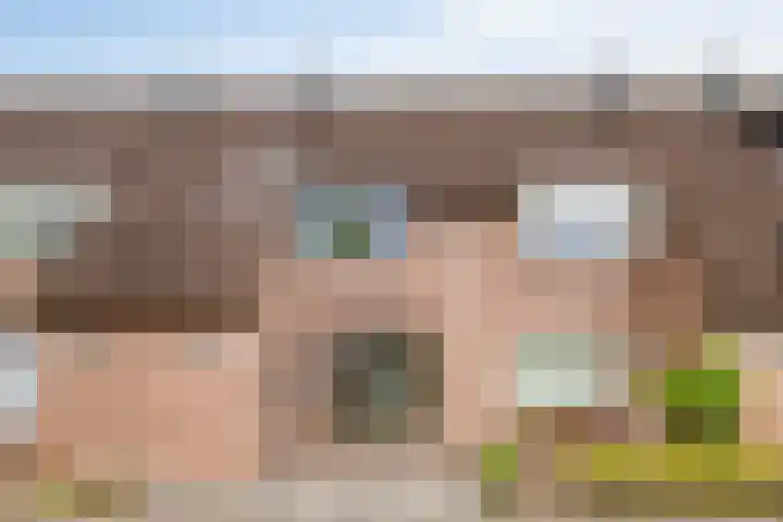 Azaleastraat 43 Terneuzen thumbnail 4