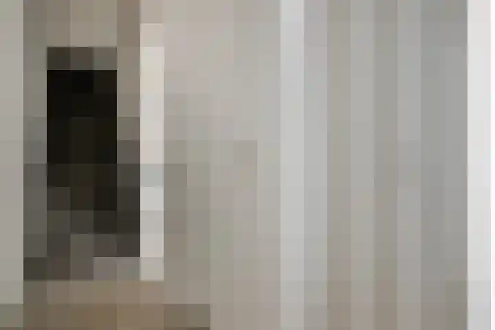 Azaleastraat 43 Terneuzen thumbnail 6