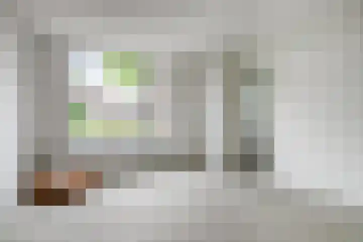 Azaleastraat 43 Terneuzen thumbnail 7