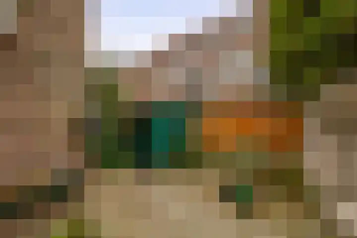 Azaleastraat 5 A Rotterdam thumbnail 22