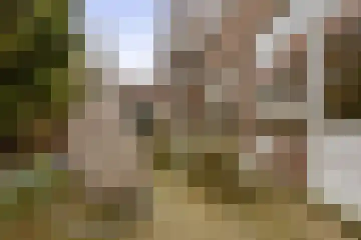 Azaleastraat 5 A Rotterdam thumbnail 23