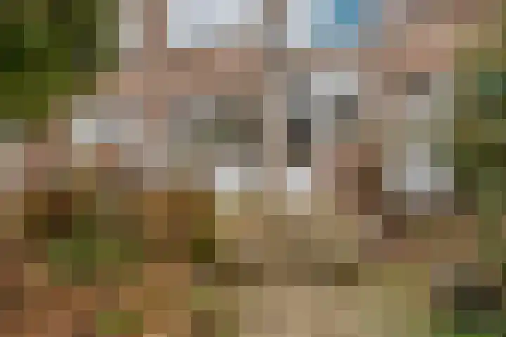 Azaleastraat 5 A Rotterdam thumbnail 4