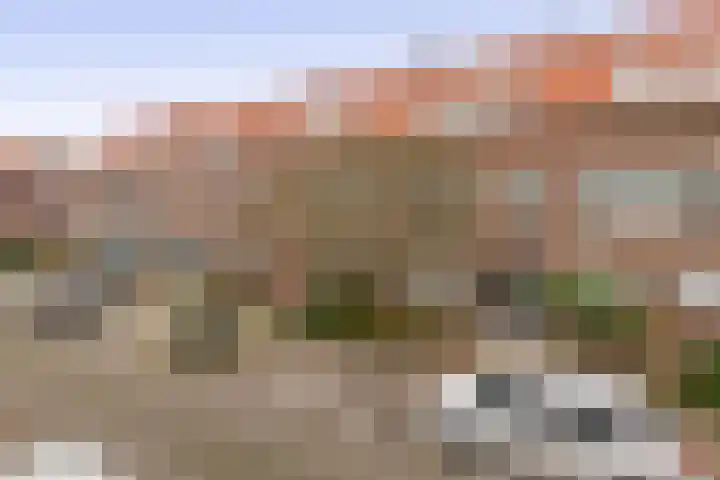 Azaleastraat 5 A Rotterdam thumbnail 5