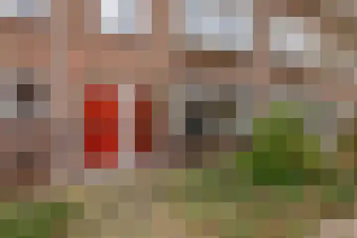 Azaleastraat 5 A Rotterdam thumbnail 6