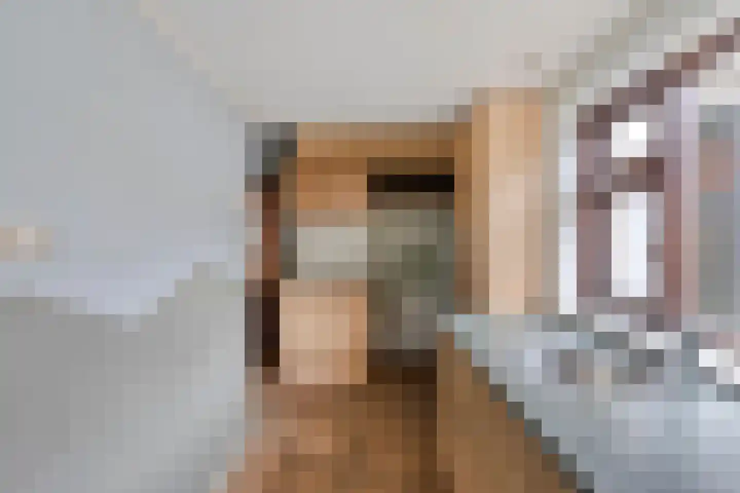 Azaleastraat 5 Heerenveen thumbnail 17