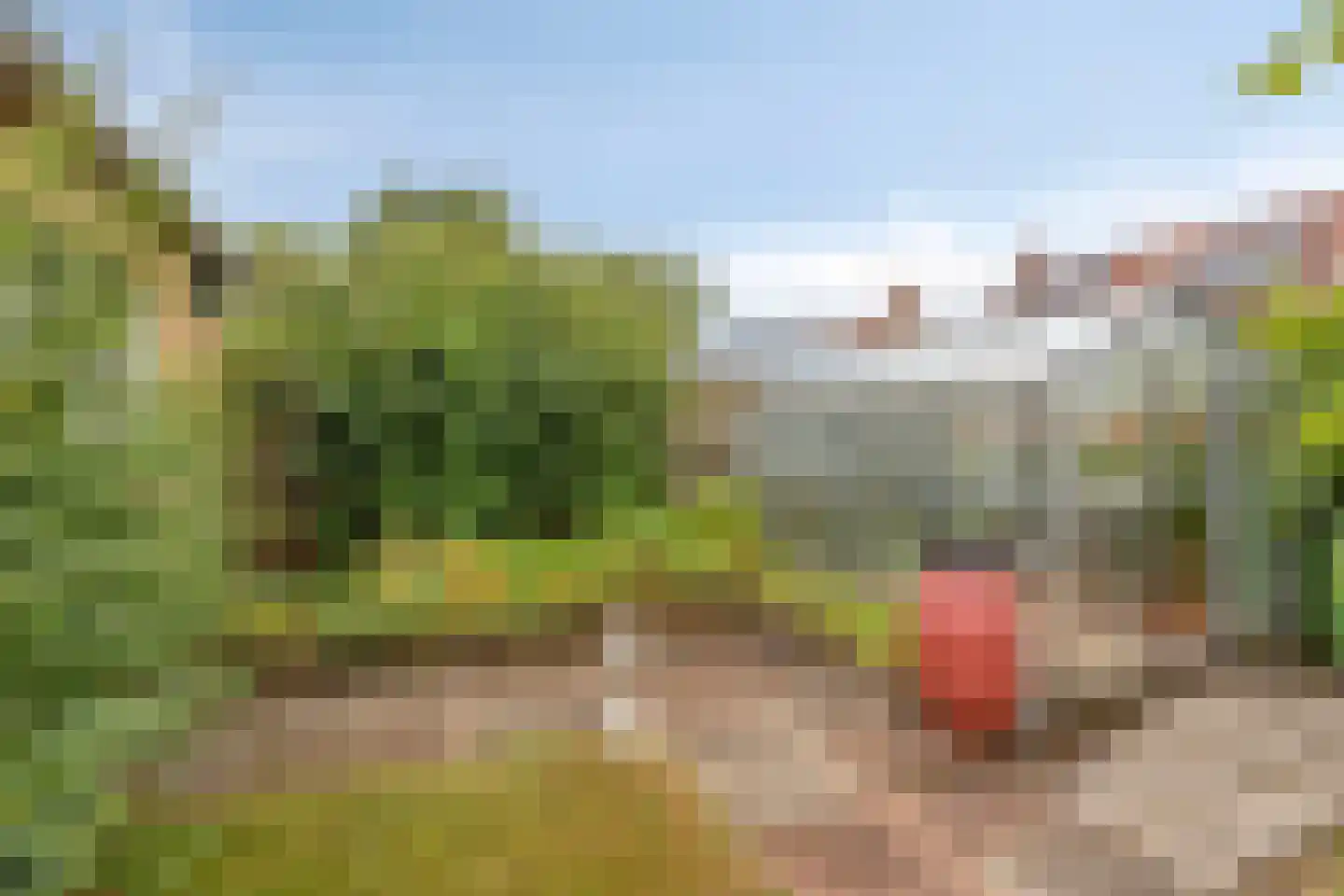 Azaleastraat 5 Heerenveen thumbnail 28