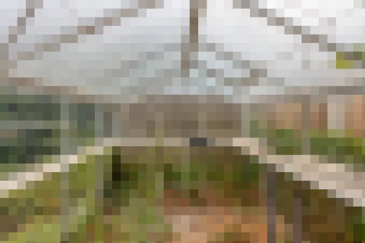 Azaleastraat 5 Heerenveen thumbnail 29
