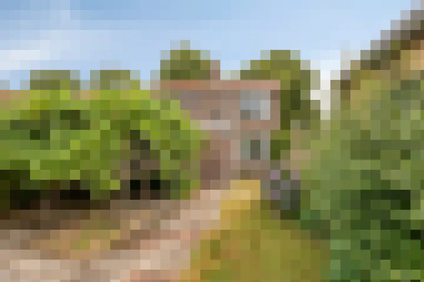 Azaleastraat 5 Heerenveen thumbnail 30