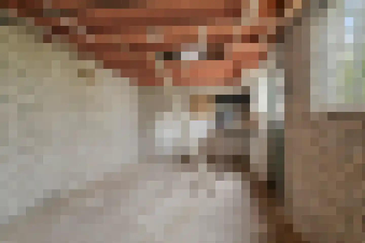 Azaleastraat 5 Heerenveen thumbnail 32