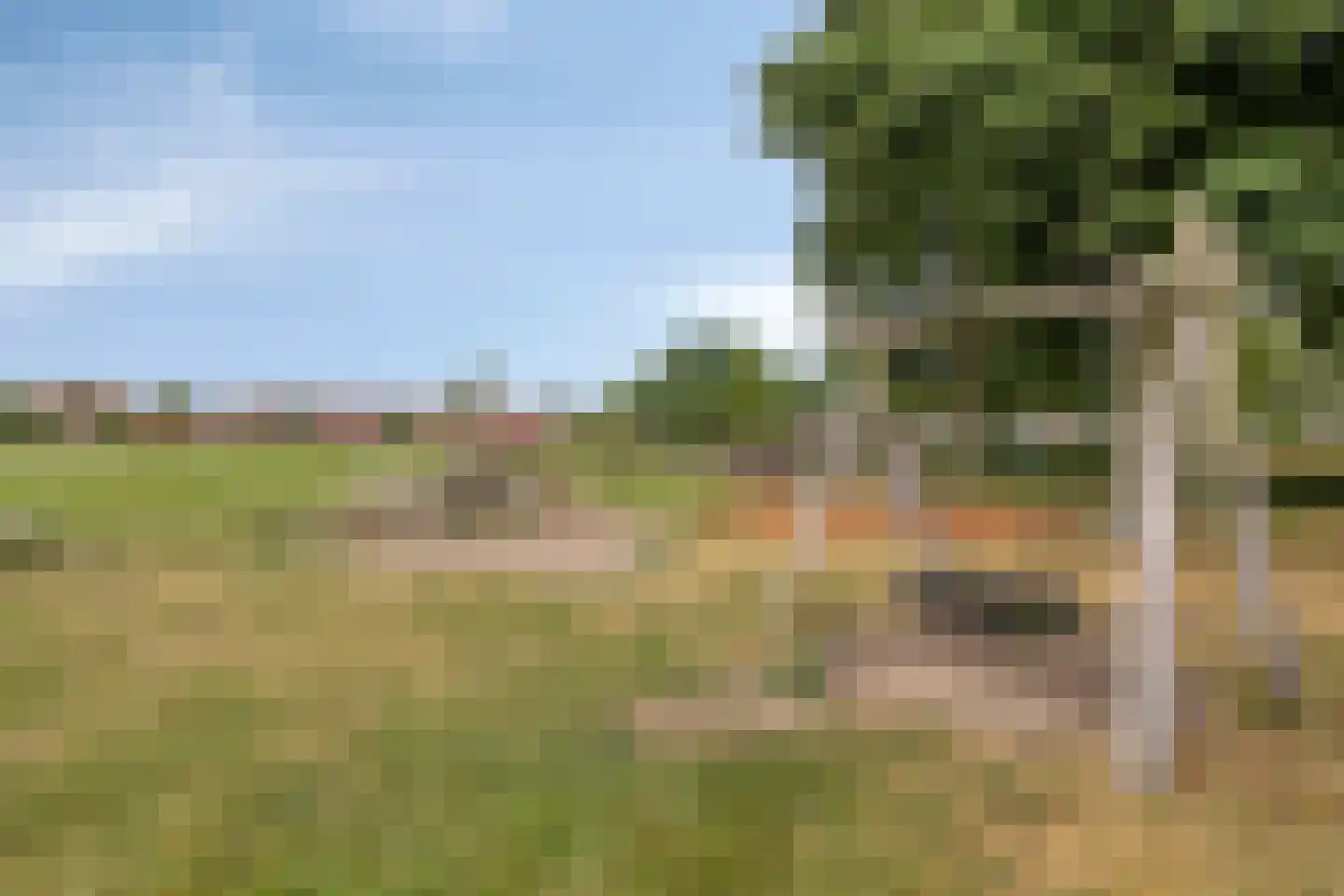 Azaleastraat 5 Heerenveen thumbnail 33