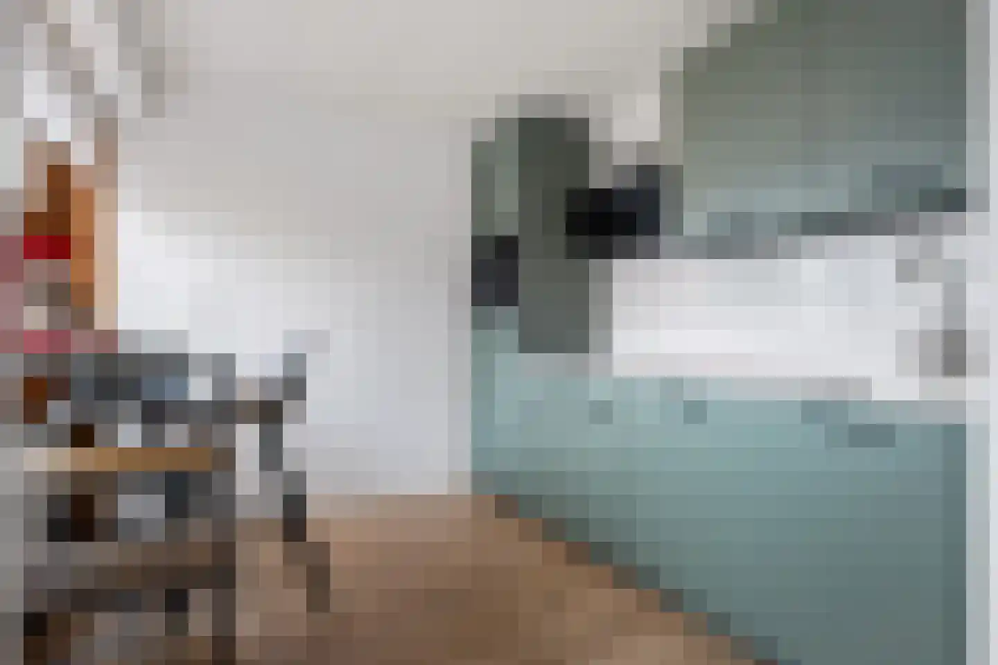 Azaleastraat 5 Sappemeer thumbnail 16