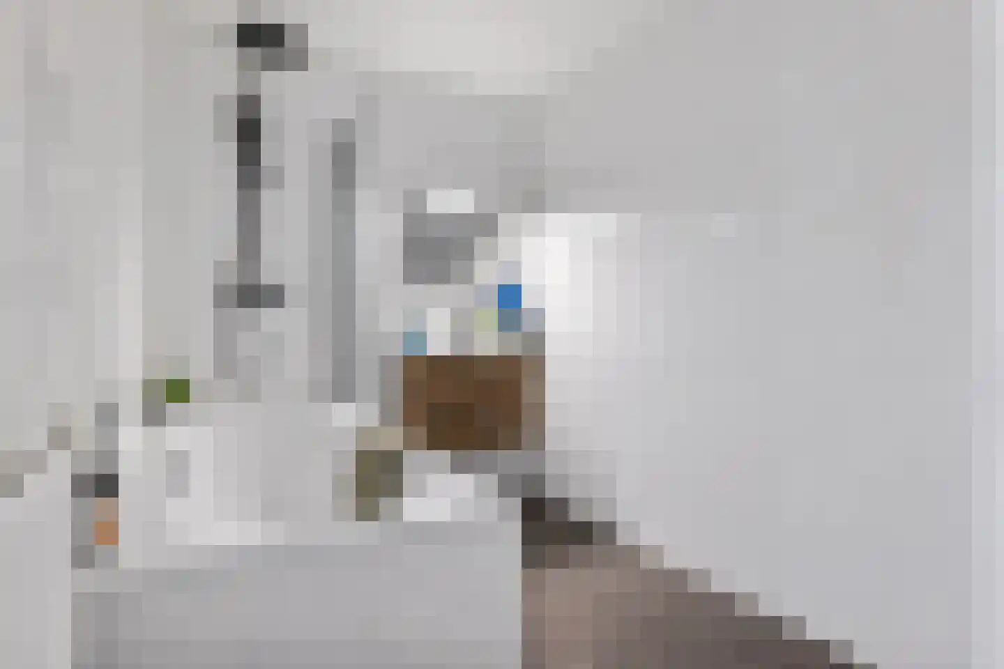 Azaleastraat 5 Sappemeer thumbnail 9