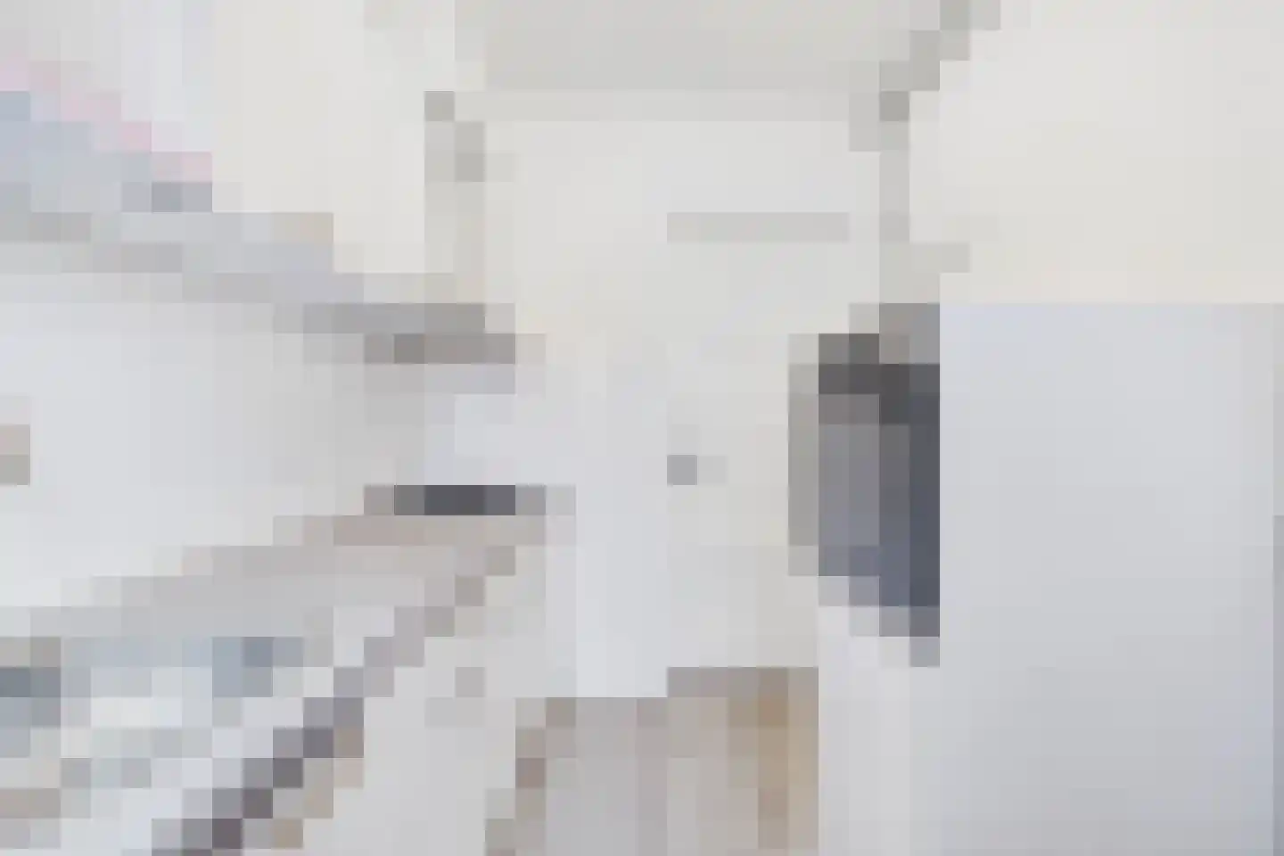 Azaleastraat 5 Terneuzen thumbnail 13
