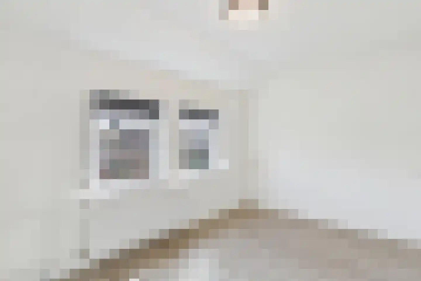 Azaleastraat 5 Terneuzen thumbnail 20