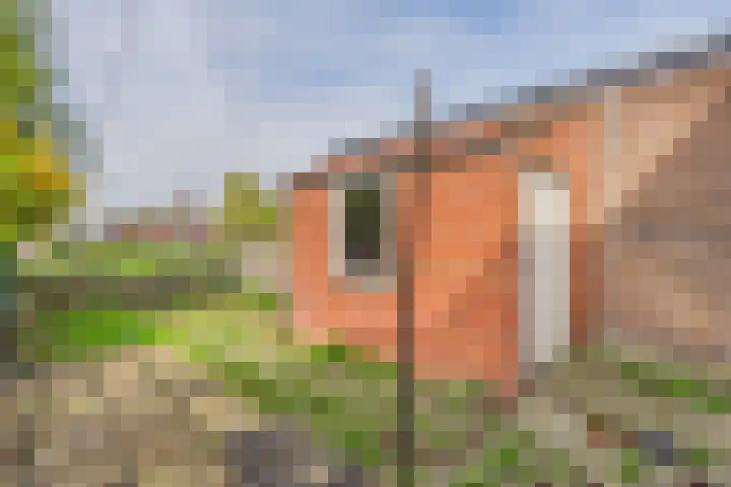 Azaleastraat 5 Terneuzen thumbnail 26