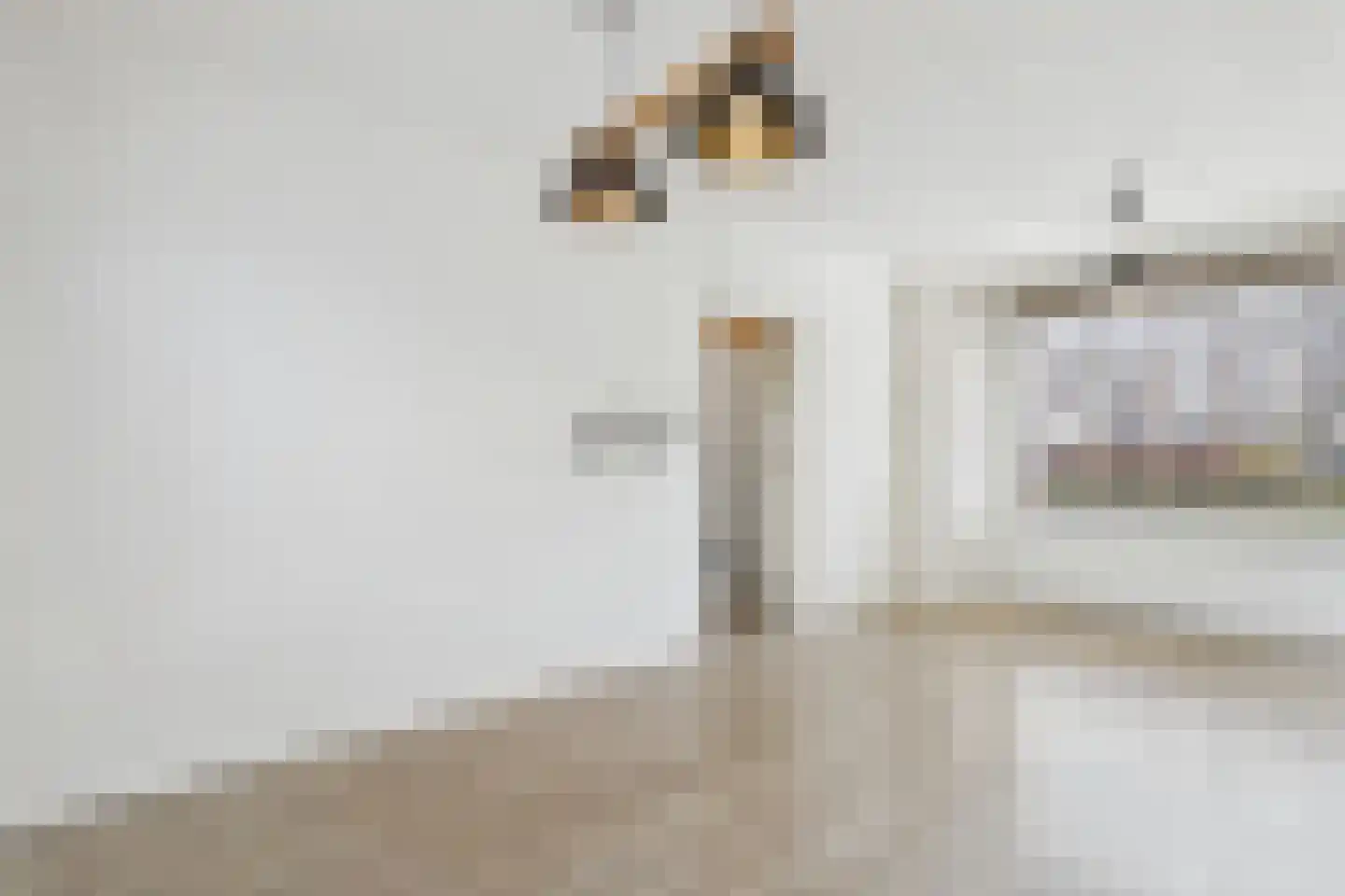 Azaleastraat 5 Terneuzen thumbnail 9