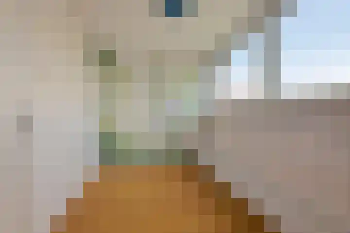 Azaleastraat 50 Amsterdam thumbnail 13