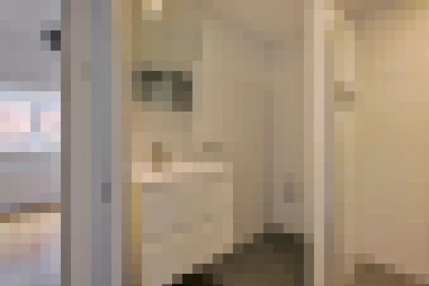 Azaleastraat 50 Amsterdam thumbnail 17