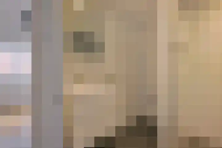 Azaleastraat 50 Amsterdam thumbnail 17