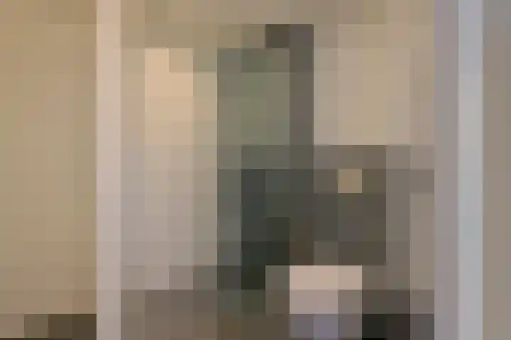Azaleastraat 50 Amsterdam thumbnail 18