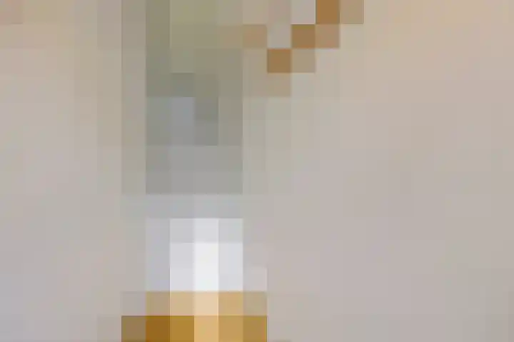 Azaleastraat 50 Amsterdam thumbnail 20