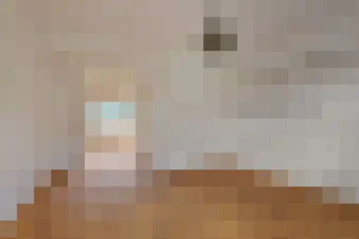 Azaleastraat 50 Amsterdam thumbnail 4
