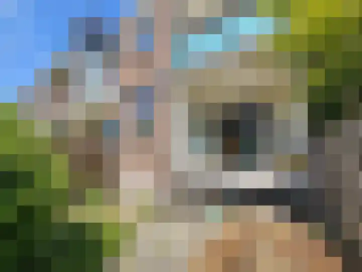 Azaleastraat 50 B Rotterdam thumbnail 10