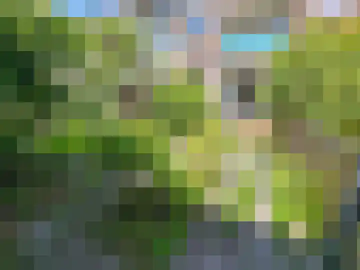 Azaleastraat 50 B Rotterdam thumbnail 12