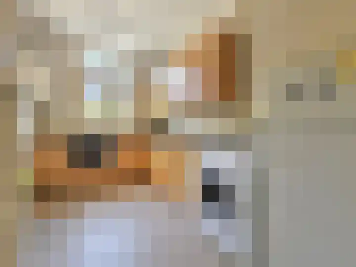 Azaleastraat 50 B Rotterdam thumbnail 16