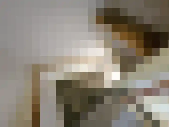 Azaleastraat 50 B Rotterdam thumbnail 24