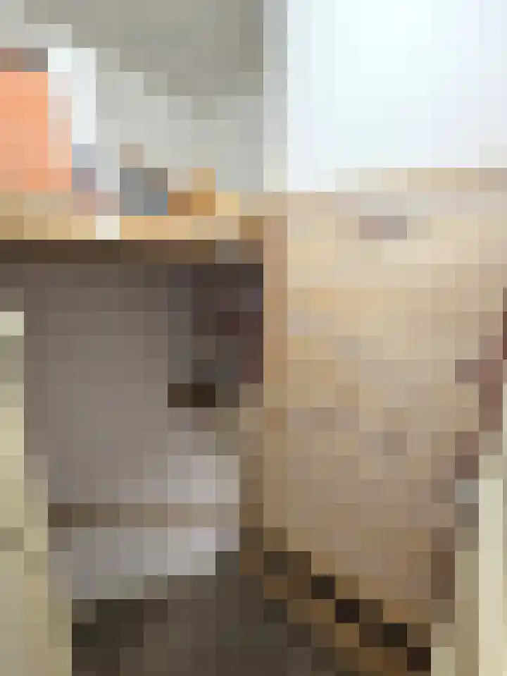 Azaleastraat 50 B Rotterdam thumbnail 27
