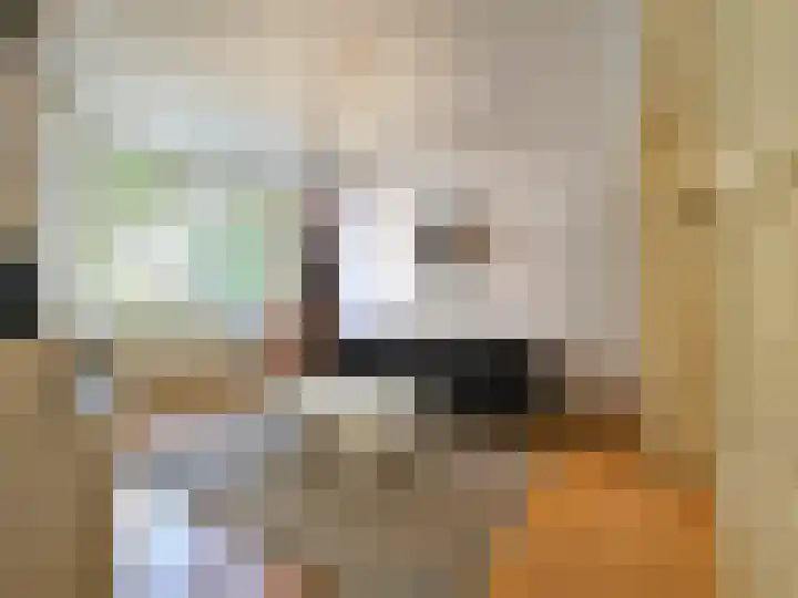 Azaleastraat 50 B Rotterdam thumbnail 4