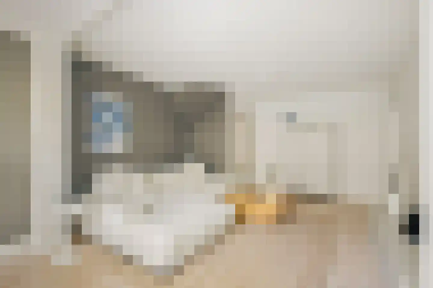 Azaleastraat 52 Amsterdam thumbnail 16