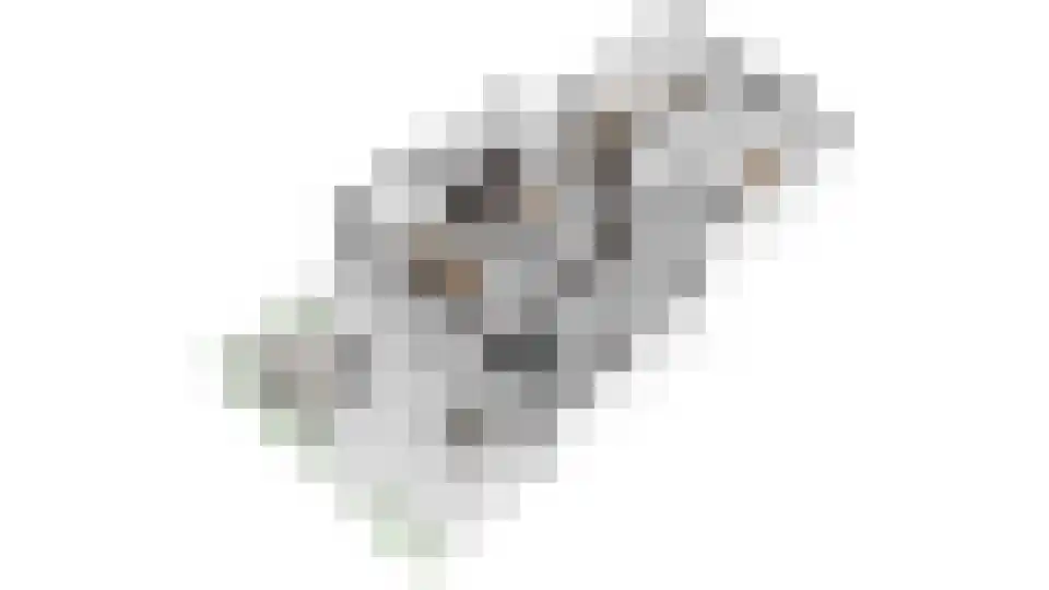 Azaleastraat 52 Amsterdam thumbnail 30