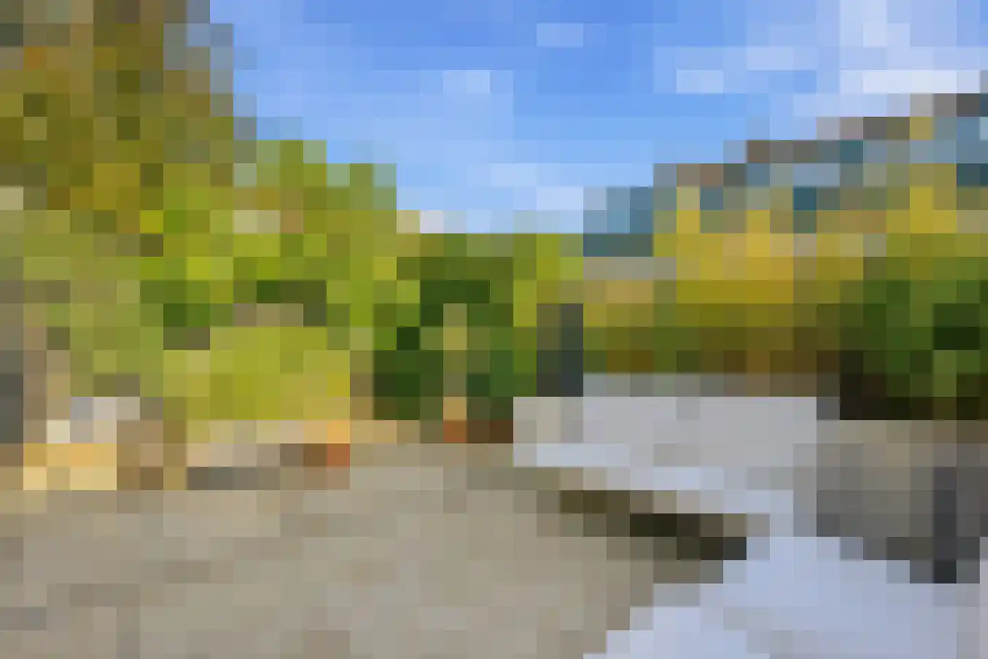 Azaleastraat 52 Amsterdam thumbnail 4