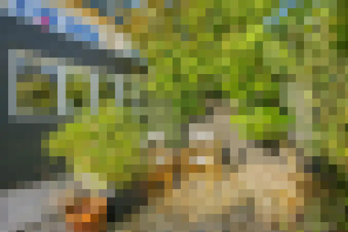 Azaleastraat 52 Amsterdam thumbnail 7
