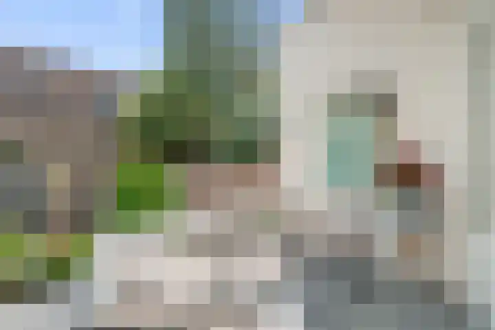 Azaleastraat 58 B Rotterdam thumbnail 29