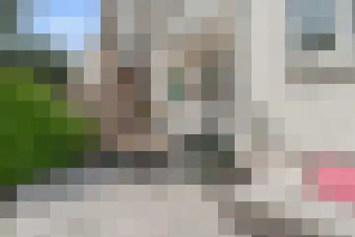 Azaleastraat 58 B Rotterdam thumbnail 30