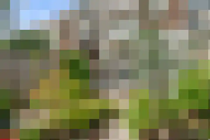 Azaleastraat 58 B Rotterdam thumbnail 33