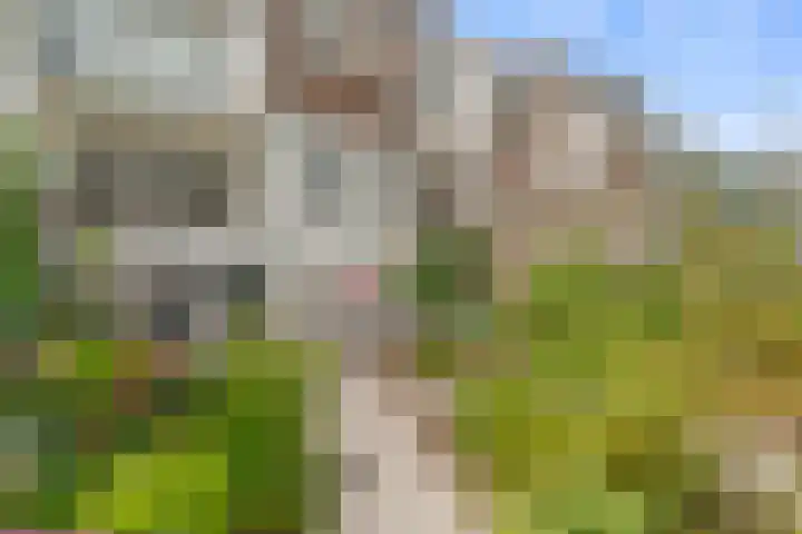 Azaleastraat 58 B Rotterdam thumbnail 34