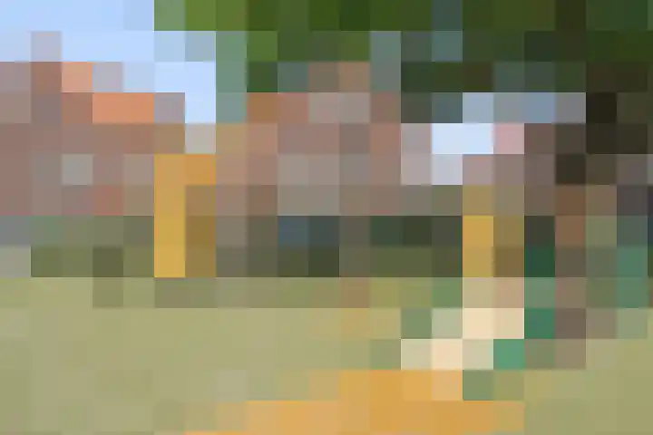 Azaleastraat 58 B Rotterdam thumbnail 39