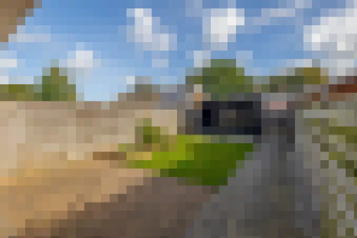 Azaleastraat 59 Musselkanaal thumbnail 21
