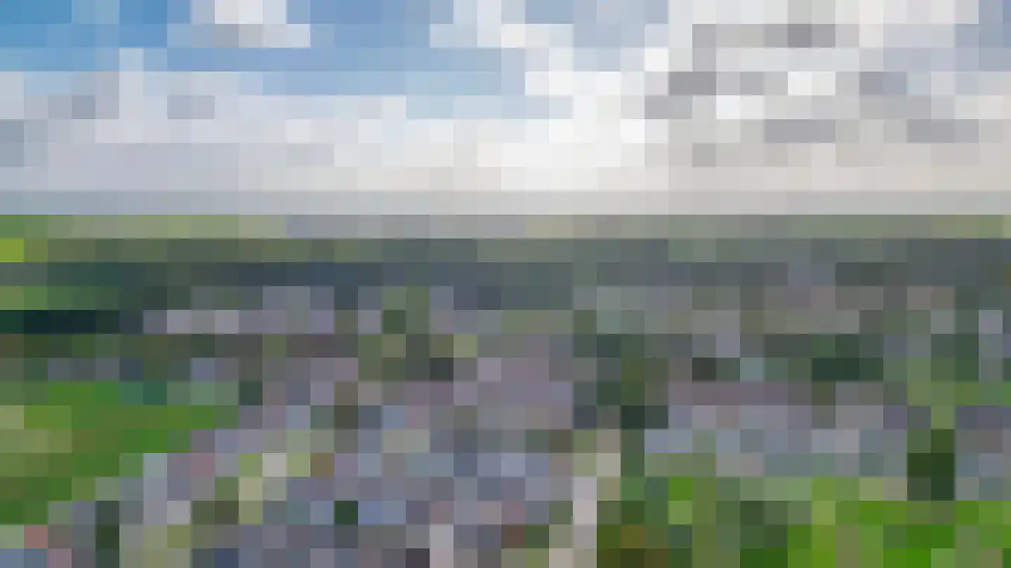 Azaleastraat 59 Musselkanaal thumbnail 38